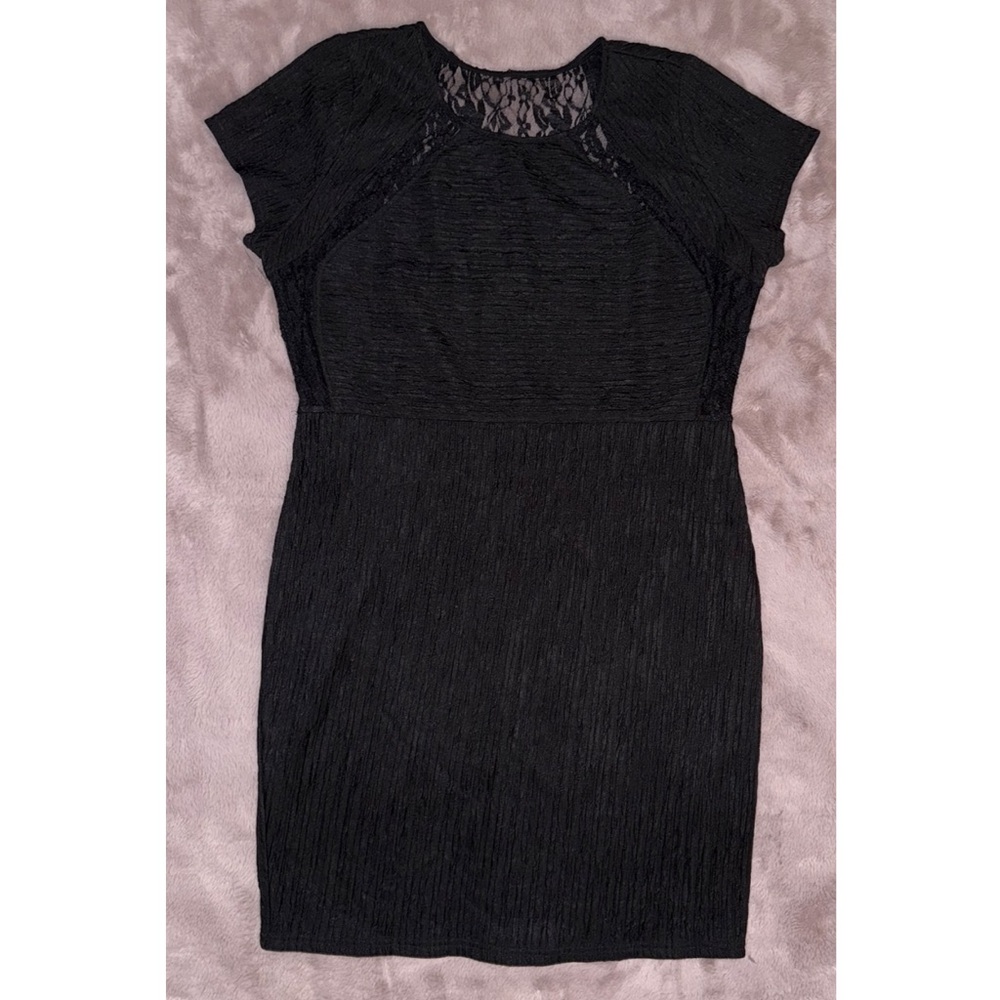 Mini Fitted Dress with Lace Detail
